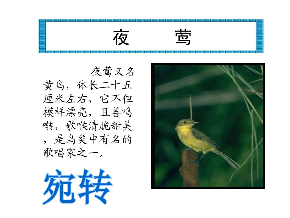《夜莺之歌》PPT课件[北师大版六年级语文上册]_第2页
