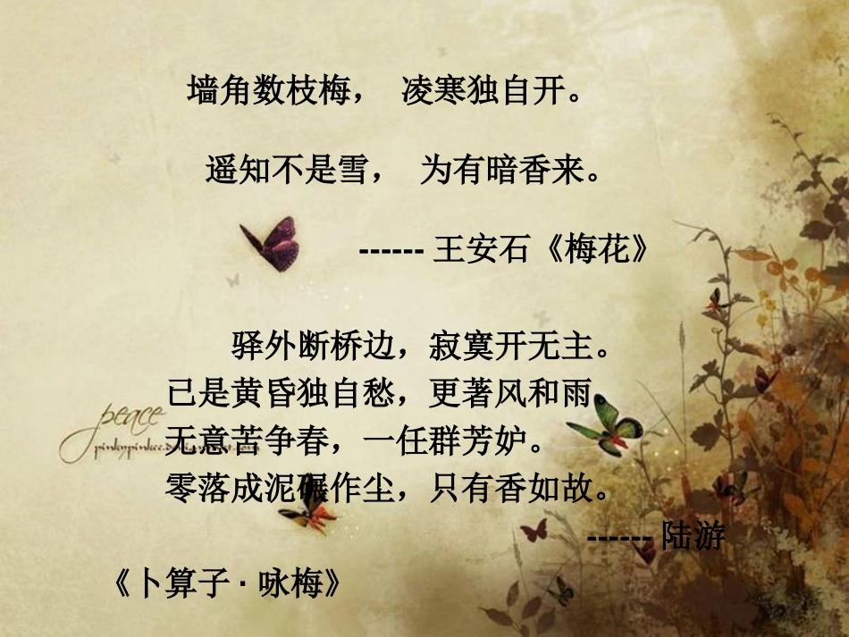 《墨梅图题诗》PPT课件[北师大版六年级语文上册]_第2页