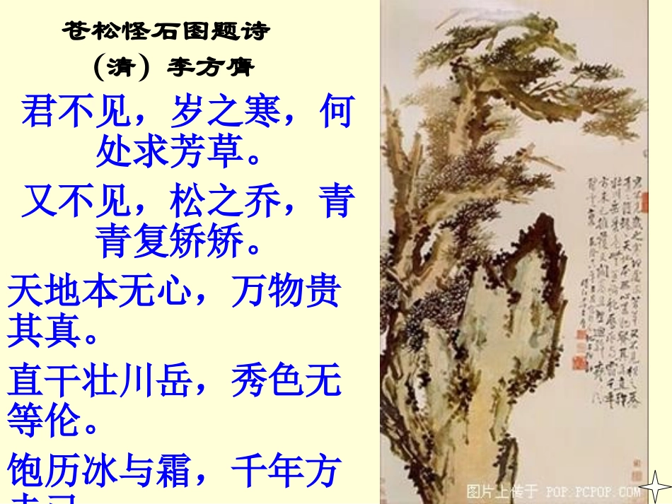 《苍松怪石图题诗》PPT课件[北师大版六年级语文上册]_第3页