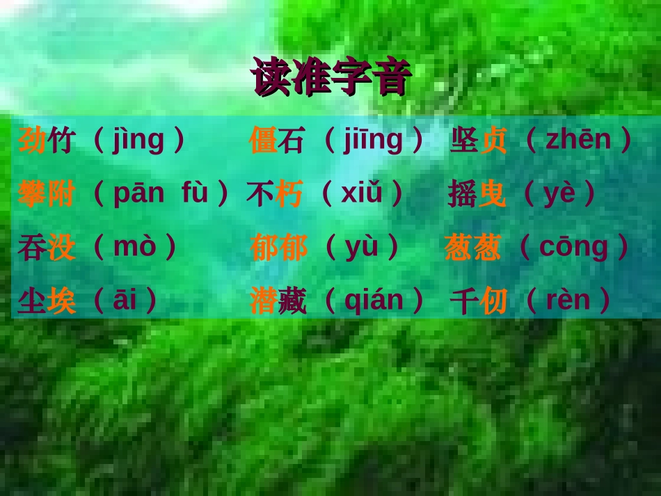 《竹颂》PPT课件[北师大版六年级语文上册]_第3页