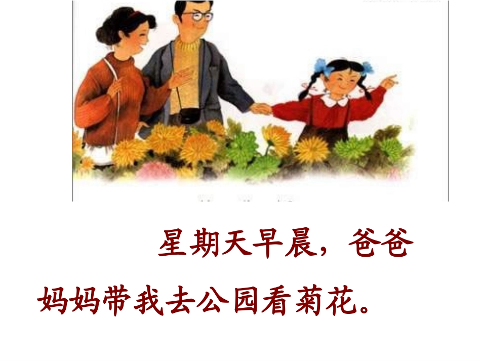 《看菊花》PPT课件[苏教版一年级语文上册]_第1页