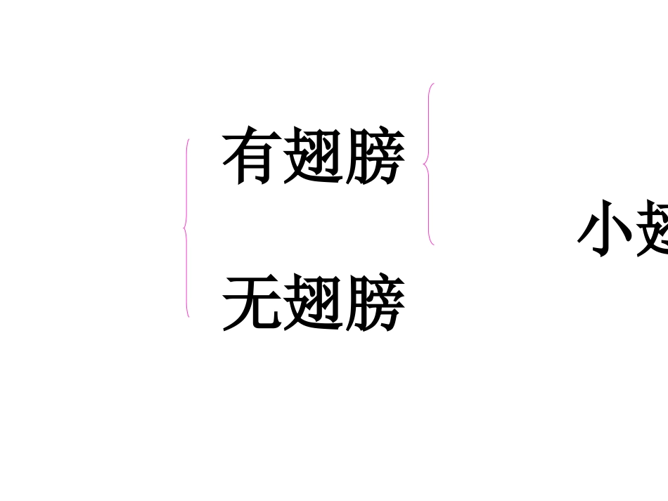 《有趣的发现》PPT课件[苏教版二年级语文上册]_第3页