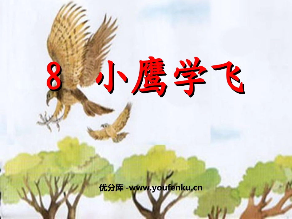 《小鹰学飞》PPT课件[苏教版二年级语文上册]_第1页