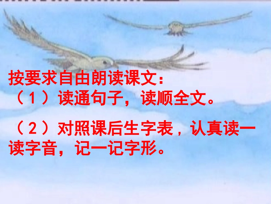 《小鹰学飞》PPT课件[苏教版二年级语文上册]_第2页