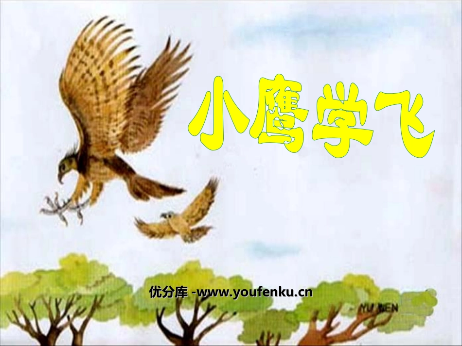 《小鹰学飞》PPT课件[苏教版二年级语文上册]_第1页
