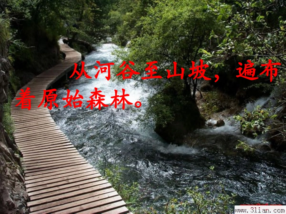 《九寨沟》PPT课件[苏教版四年级语文上册]_第3页