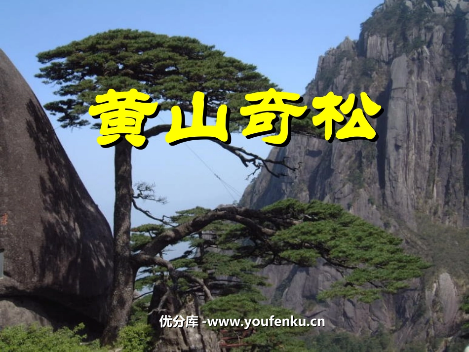 《黄山奇松》PPT课件[苏教版五年级语文上册]_第1页
