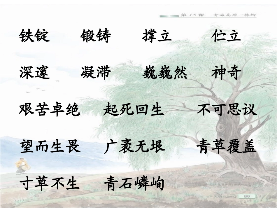《青海高原一株柳》PPT课件[苏教版六年级语文上册]_第2页