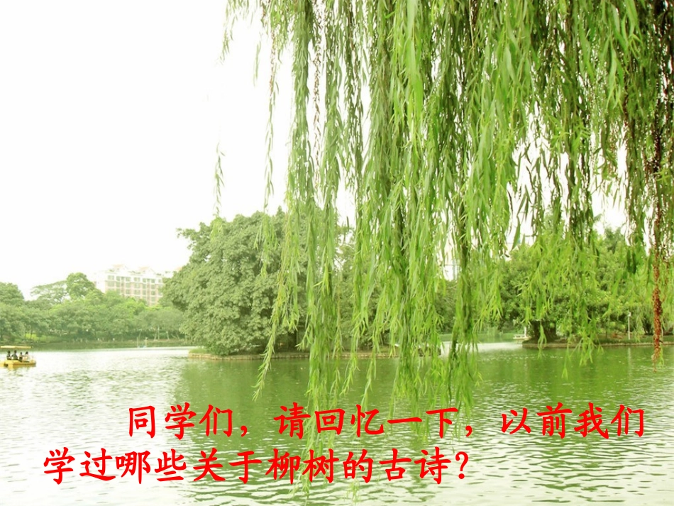 《青海高原一株柳》PPT课件[苏教版六年级语文上册]_第2页