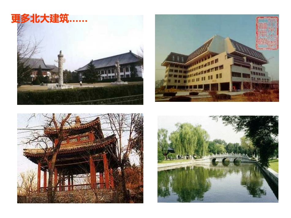 《十三岁的际遇》PPT课件[苏教版七年级语文上册]_第3页