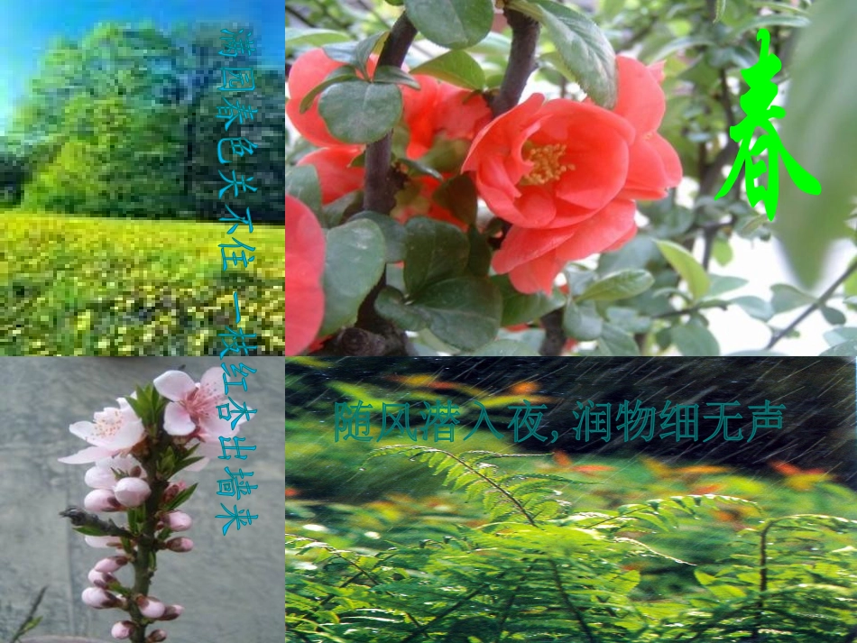 《夏》PPT课件[苏教版七年级语文上册]_第2页