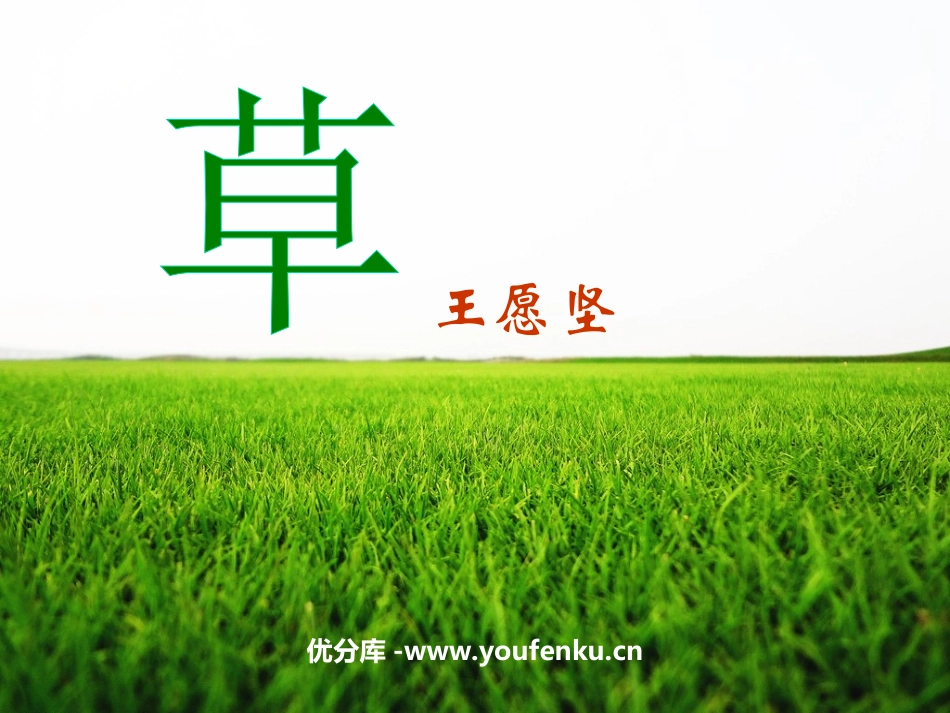 《草》PPT课件[苏教版八年级语文上册]_第1页