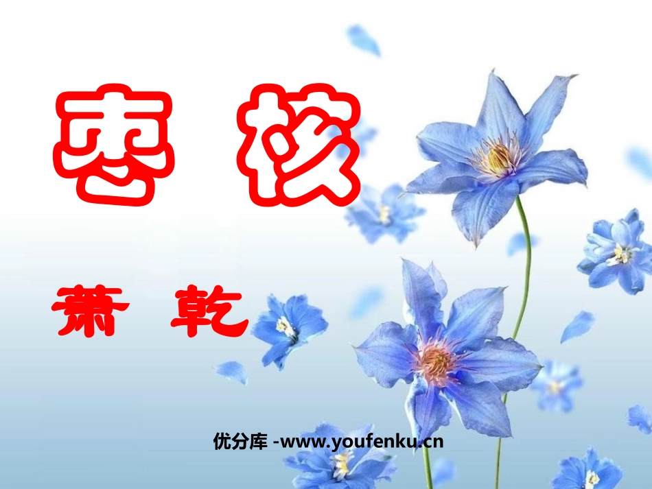 《枣核》PPT课件[苏教版八年级语文上册]_第1页