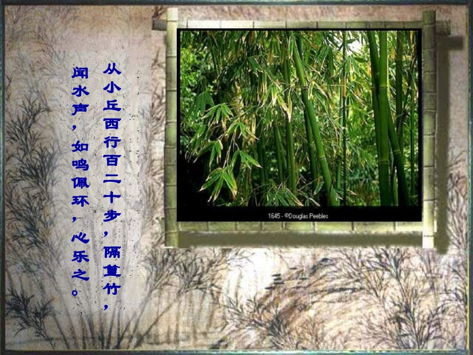 《小石潭记》PPT课件[苏教版八年级语文上册]_第2页