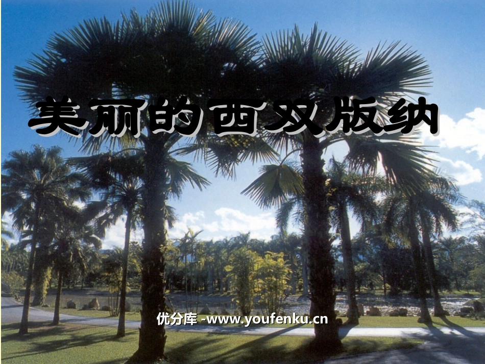 《美丽的西双版纳》PPT课件[苏教版八年级语文上册]_第1页