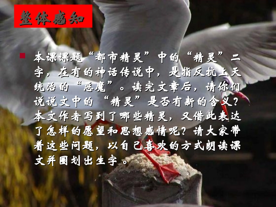 《都市精灵》PPT课件[苏教版八年级语文上册]_第3页
