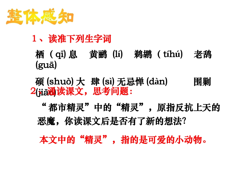 《都市精灵》PPT课件[苏教版八年级语文上册]_第2页