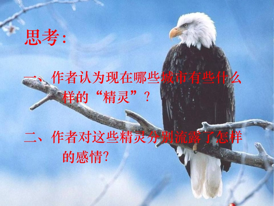 《都市精灵》PPT课件[苏教版八年级语文上册]_第3页