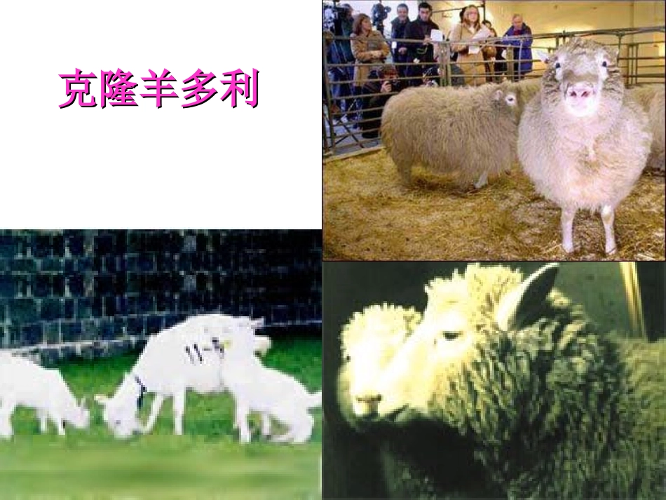 《奇妙的克隆》PPT课件[苏教版八年级语文上册]_第2页
