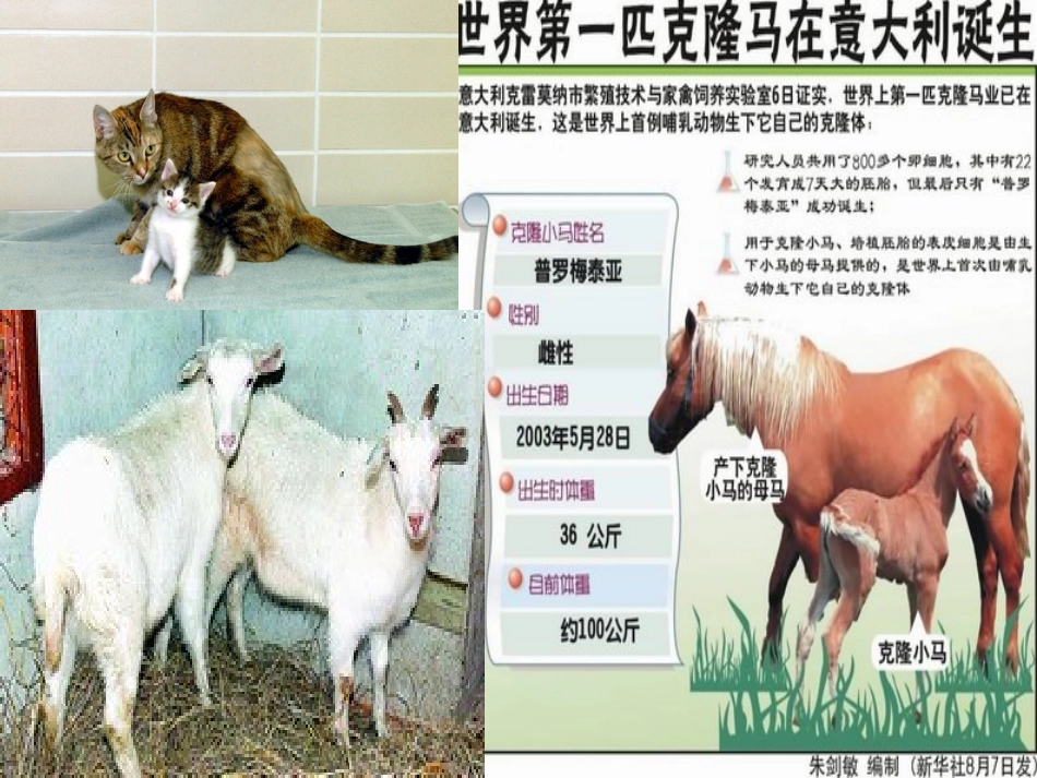 《奇妙的克隆》PPT课件[苏教版八年级语文上册]_第3页