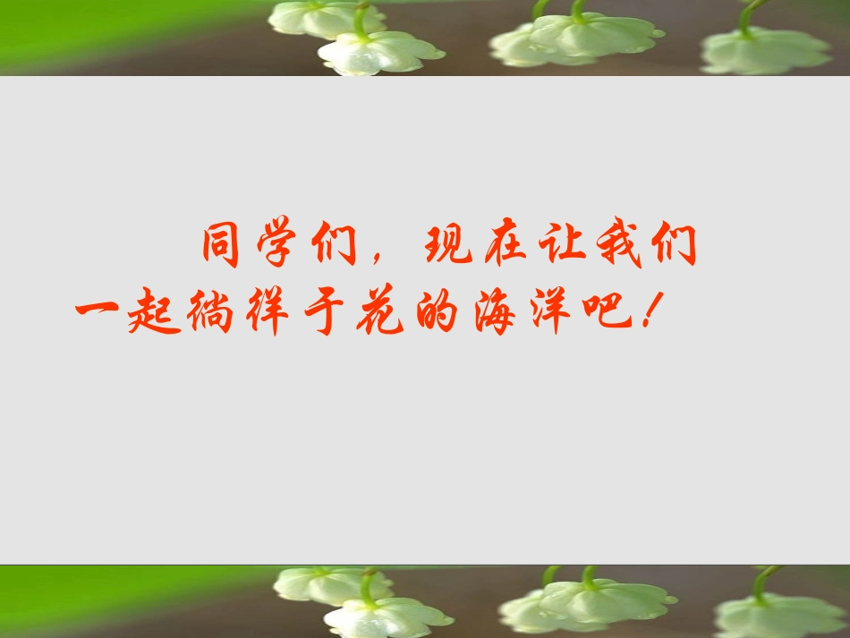《送你一束转基因花》PPT课件[苏教版八年级语文上册]_第2页