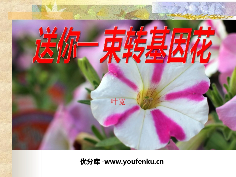 《送你一束转基因花》PPT课件[苏教版八年级语文上册]_第1页