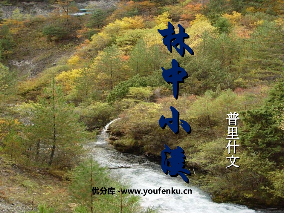 《林中小溪》PPT课件[苏教版九年级语文上册]_第1页
