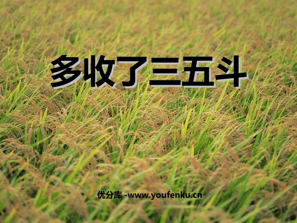 《多收了三五斗》PPT课件[苏教版九年级语文上册]_第1页