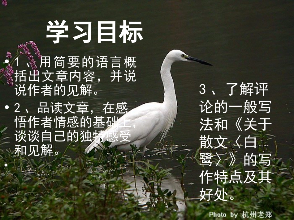 《散文家谈散文》PPT课件[苏教版九年级语文上册]_第2页