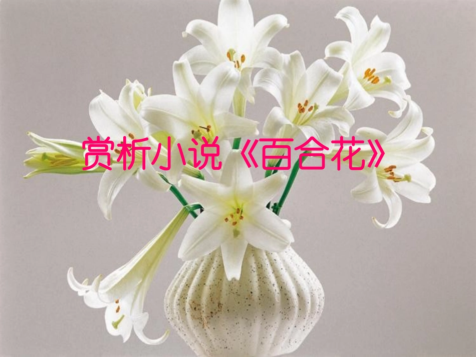 《小说家谈小说》PPT课件[苏教版九年级语文上册]_第3页
