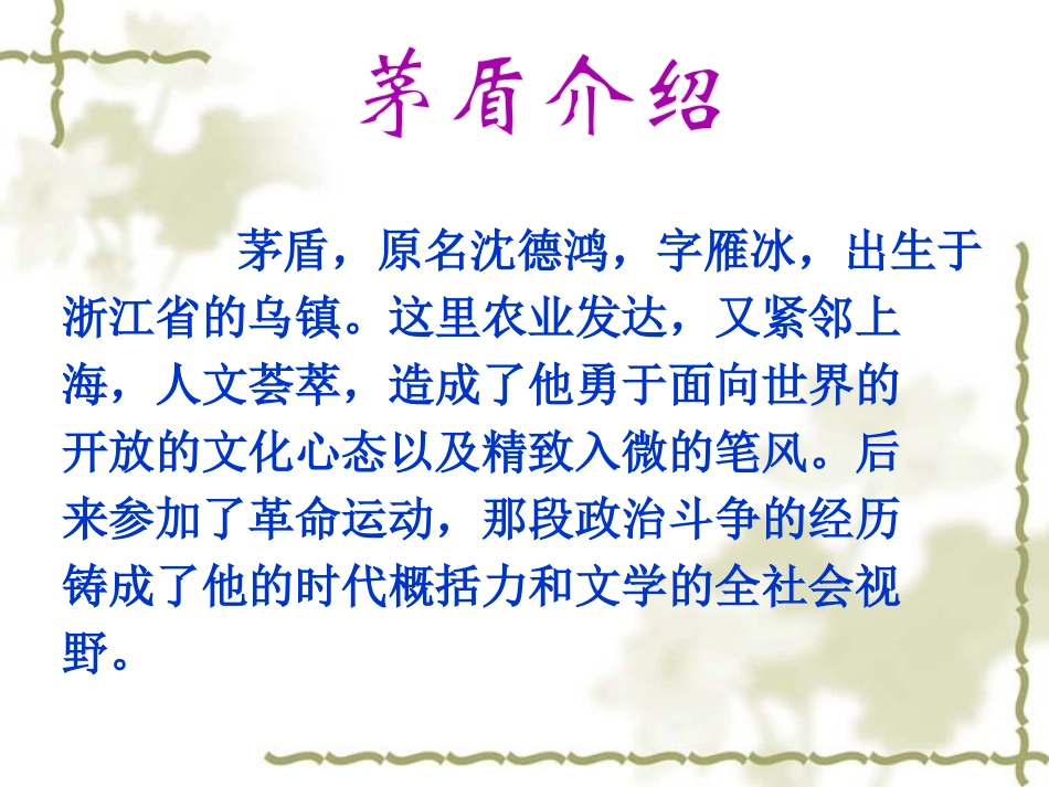 《小说家谈小说》PPT课件[苏教版九年级语文上册]_第3页