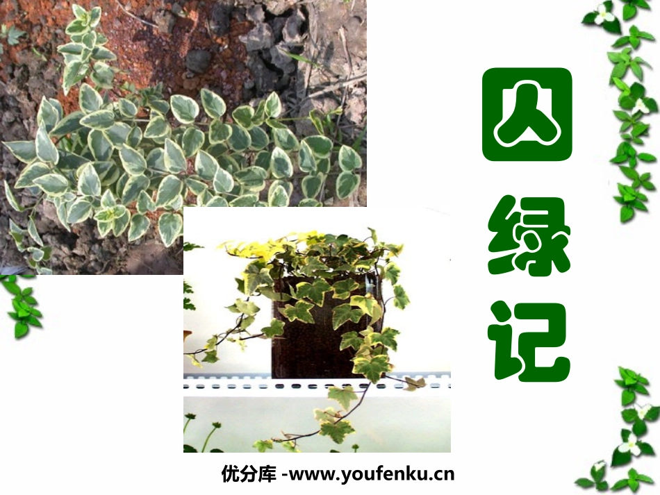 《囚绿记》PPT课件[苏教版九年级语文上册]_第1页