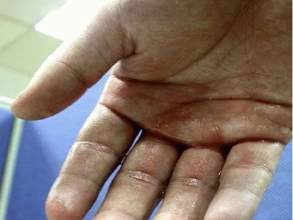 《一双手》PPT课件[苏教版九年级语文上册]_第3页