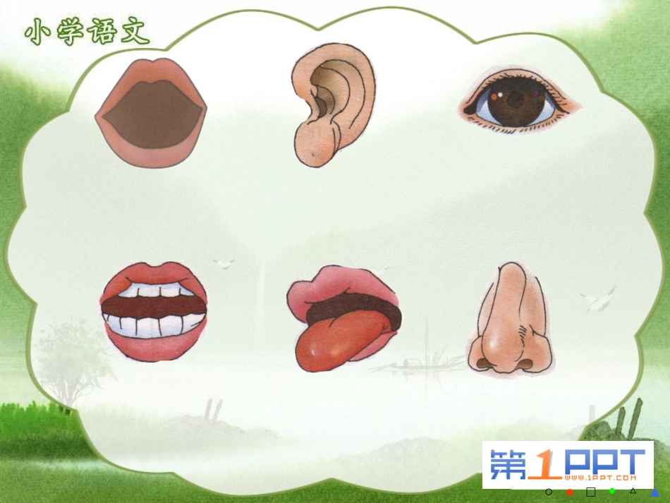 《保护器官》PPT课件[西师大版一年级语文上册]_第2页