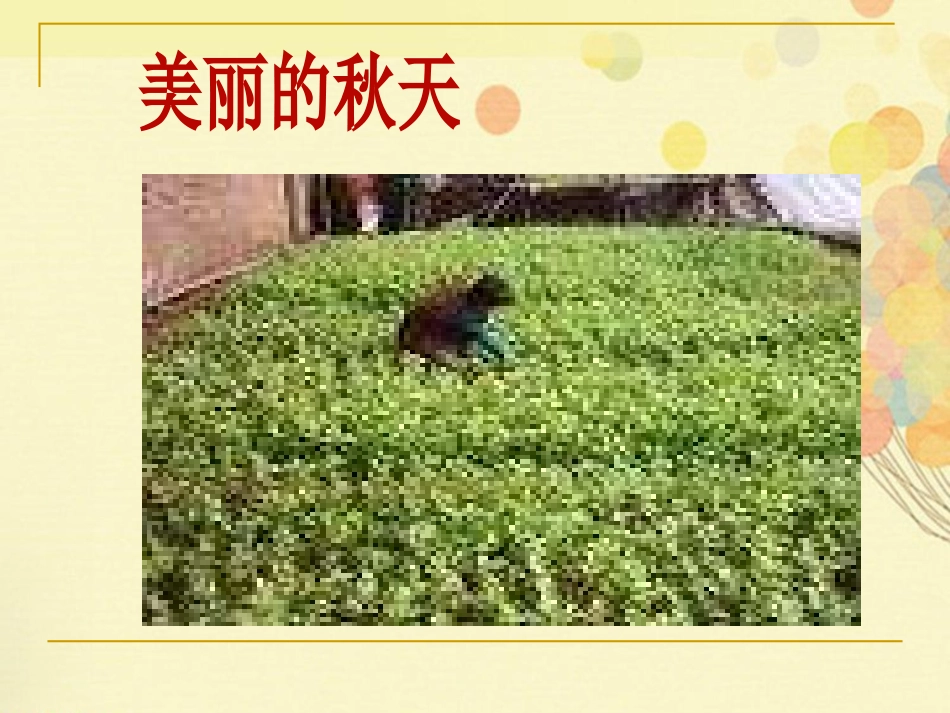 《粮食蔬菜》PPT课件[西师大版一年级语文上册]_第2页