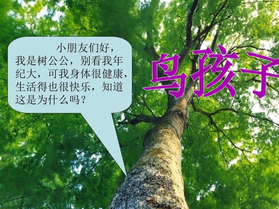 《鸟孩子》PPT课件[西师大版一年级语文上册]_第2页