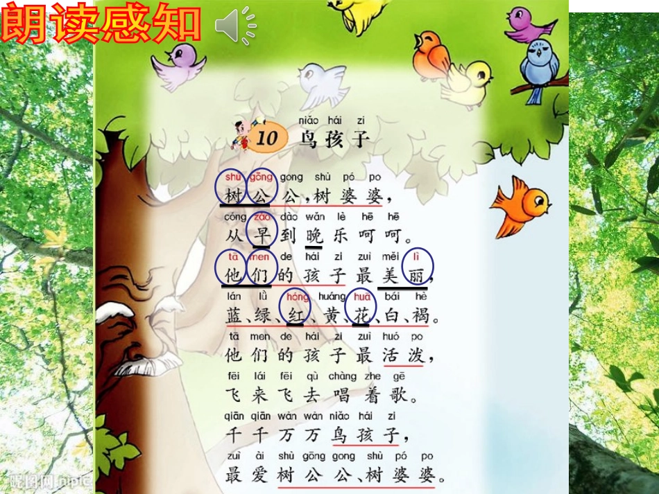《鸟孩子》PPT课件[西师大版一年级语文上册]_第3页