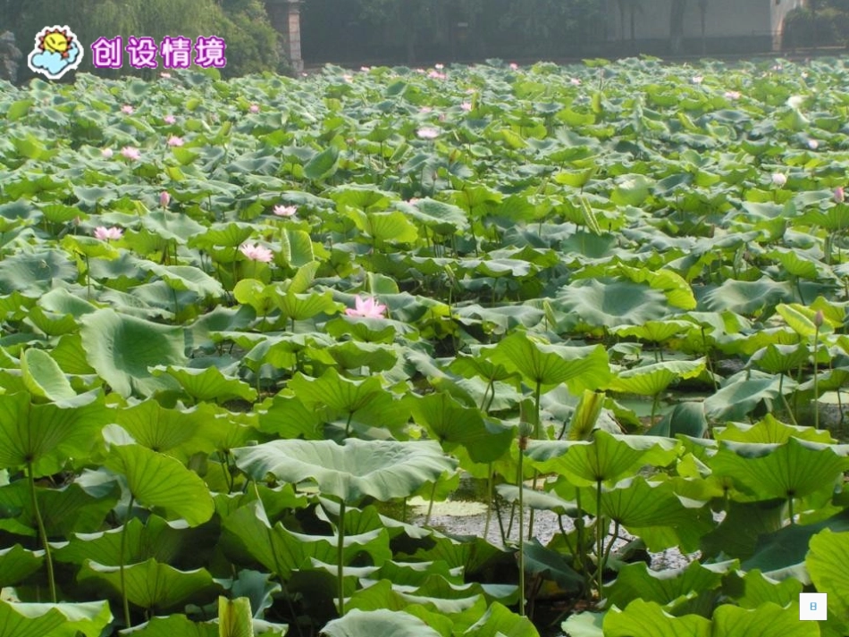《江南》PPT课件[西师大版一年级语文上册]_第3页