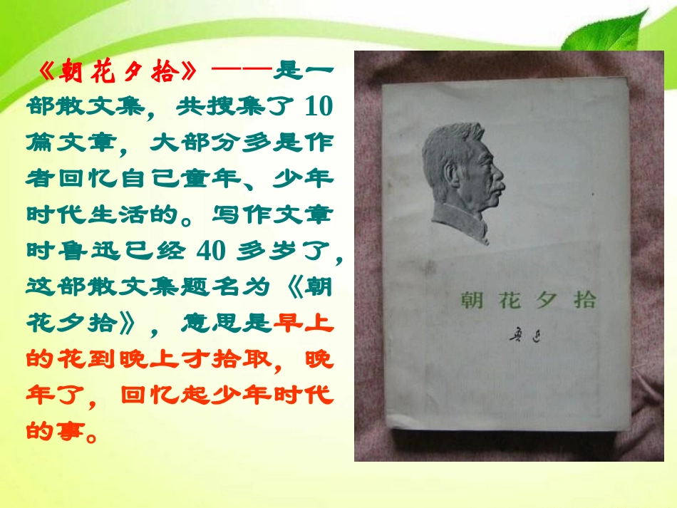 《从百草园到三味书屋》PPT课件[北师大版七年级语文上册]_第3页