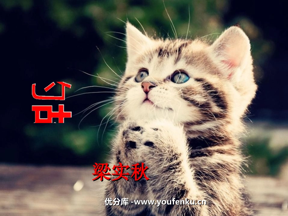 《猫的故事》PPT课件[北师大版七年级语文上册]_第1页