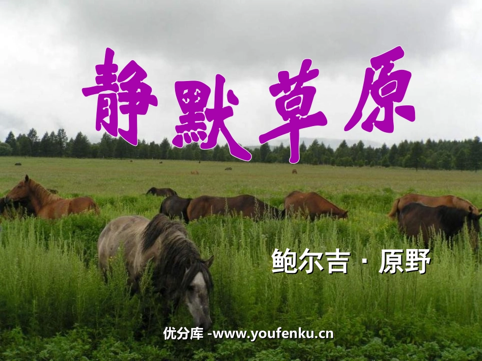 《静默草原》PPT课件[北师大版八年级语文上册]_第1页