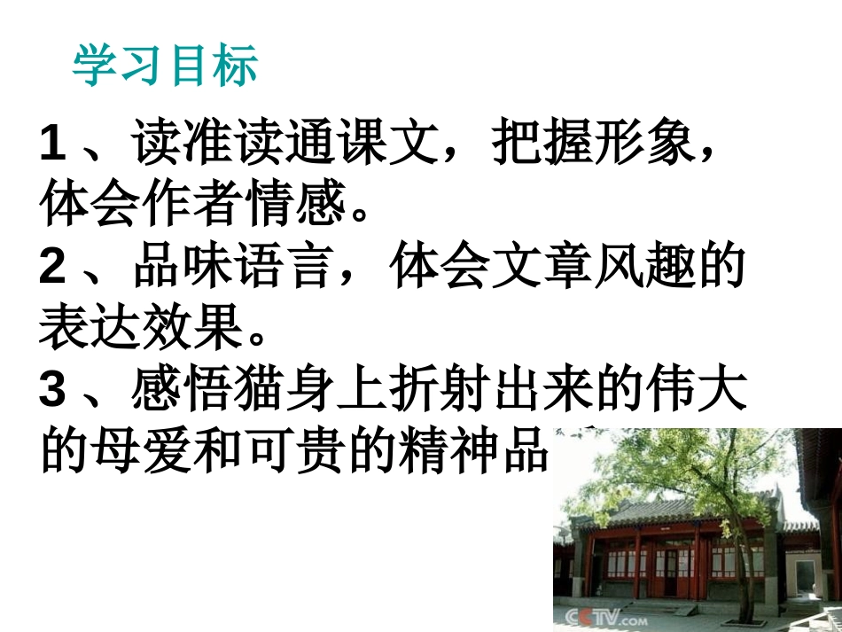 《猫的故事》PPT课件[北师大版七年级语文上册]_第1页