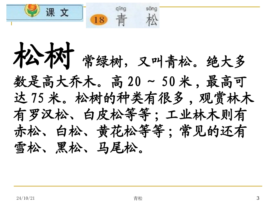 《青松》PPT课件[苏教版二年级语文上册]_第3页