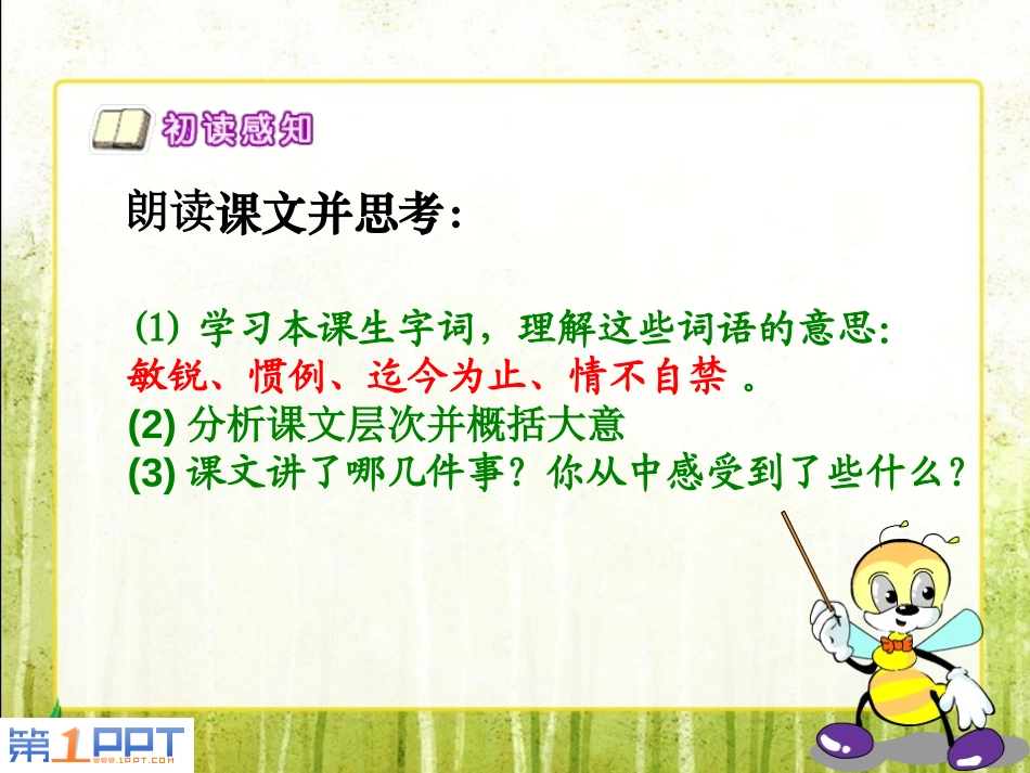 《中华星》PPT课件[西师大版六年级语文上册]_第2页