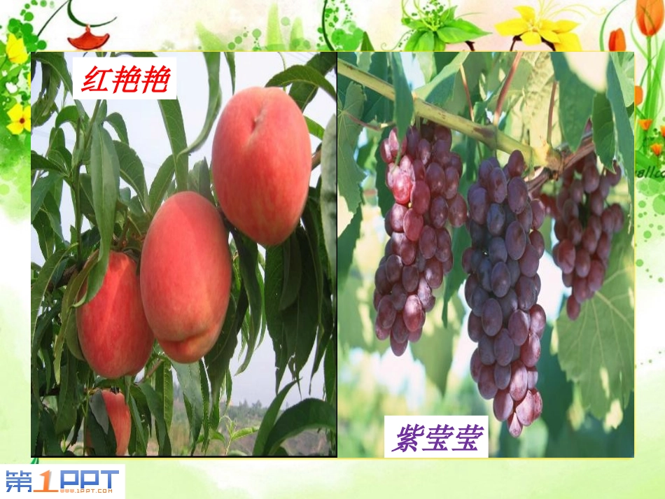 《神奇的音箱》PPT课件[西师大版六年级语文上册]_第2页