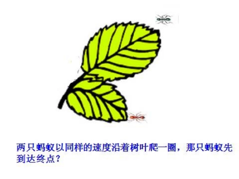 《认识周长》长方形和正方形PPT课件[苏教版三年级数学上册]_第2页