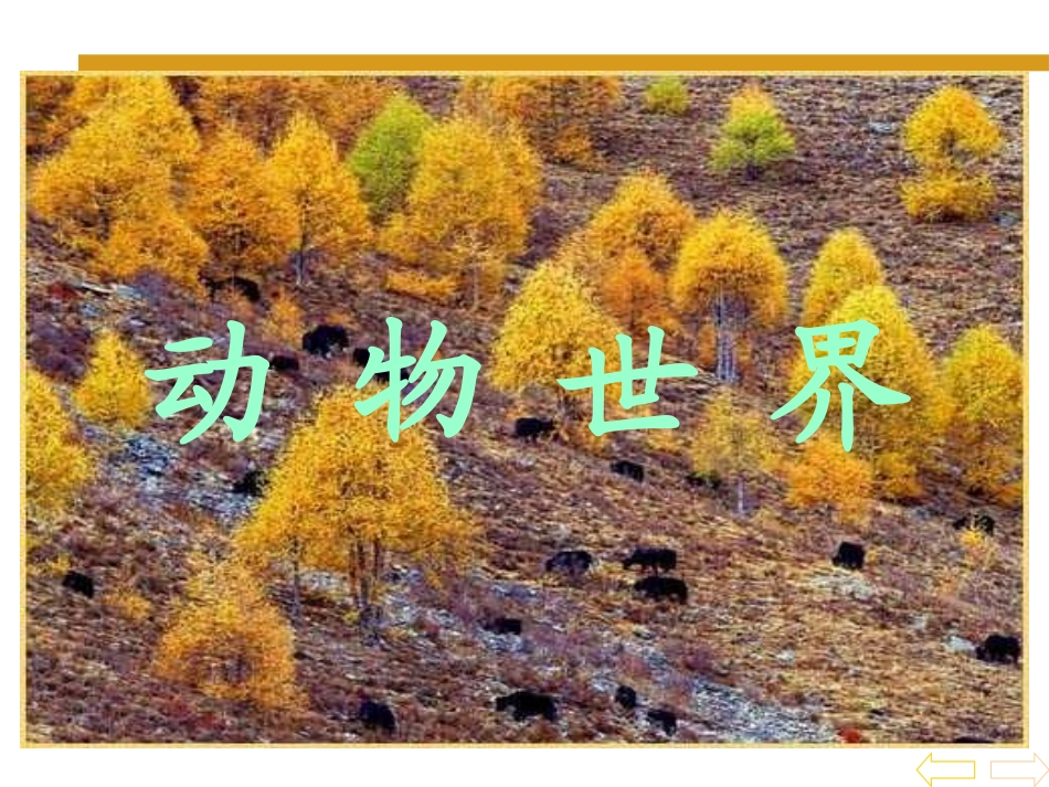 《数一数》上学了PPT课件[西师大版一年级数学上册]_第3页
