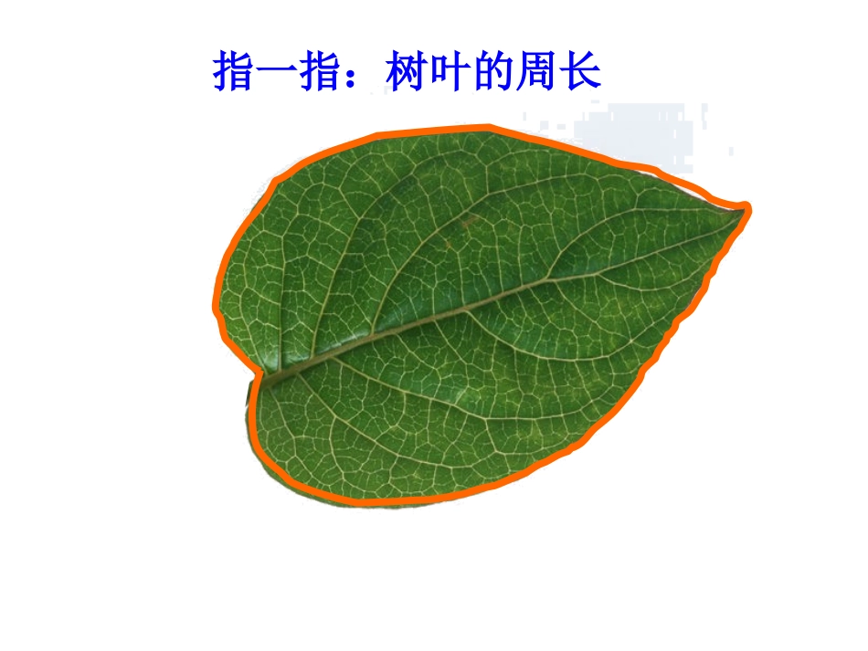 《周长的认识》周长PPT课件[西师大版三年级数学上册]_第3页