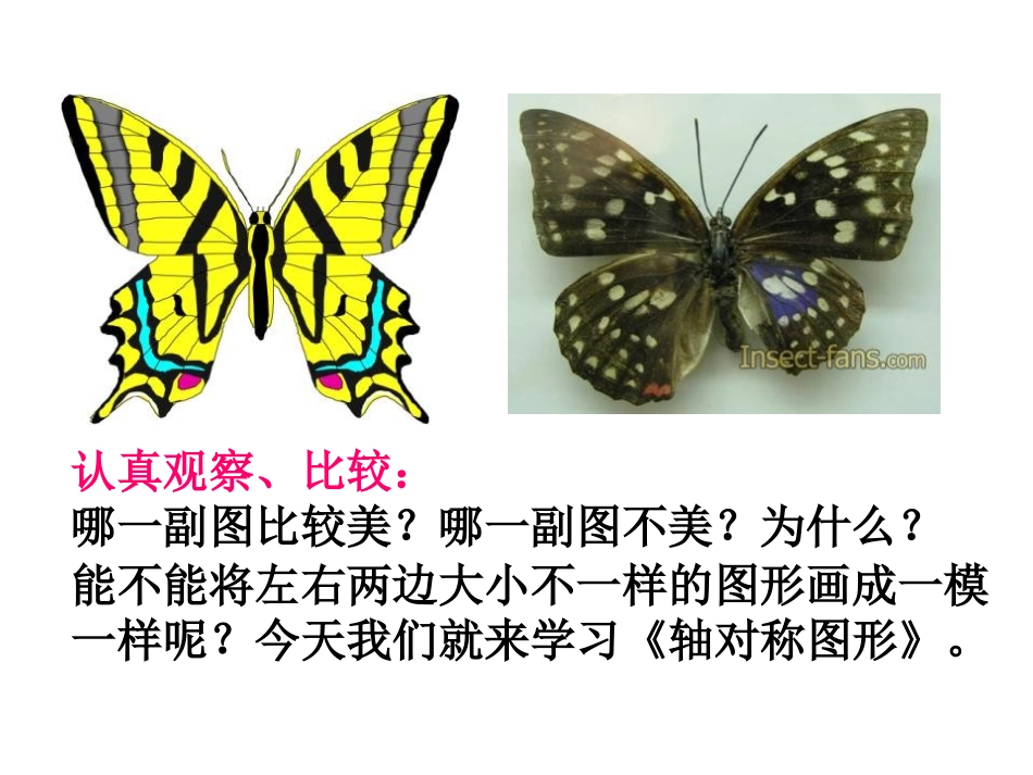 《轴对称图形》图形的平移、旋转与对称PPT课件_第2页