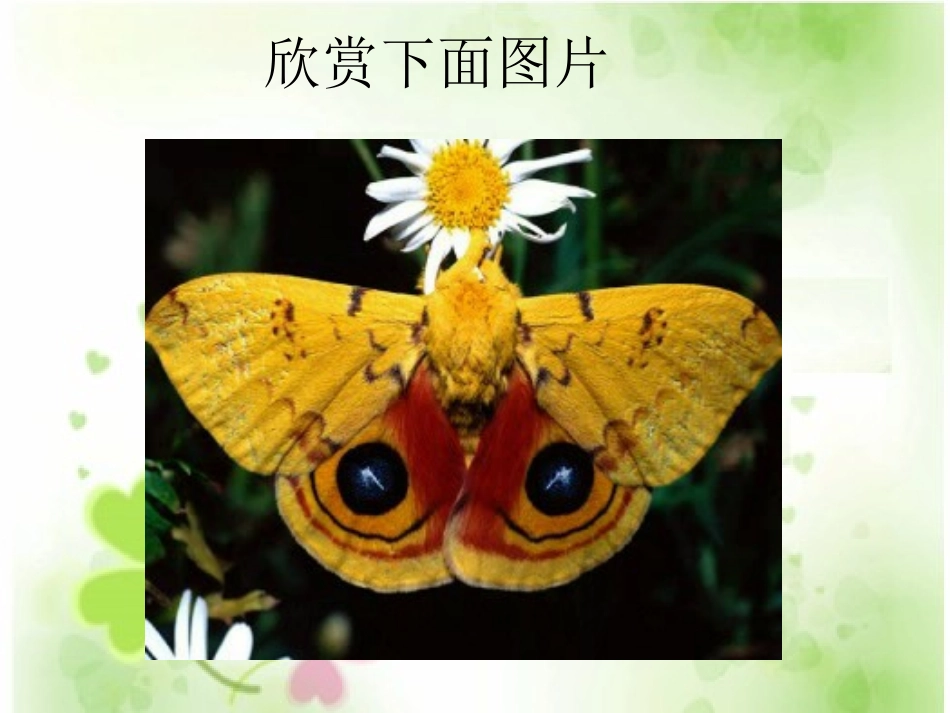 《轴对称图形》图形的平移、旋转与对称PPT课件_第3页